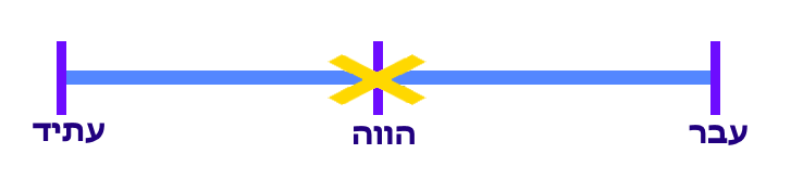 פעולה ארוכה